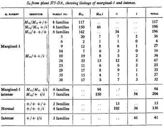 TABLE 15 SI from plant 375-DA, showing linkage of margined-l and intense. 