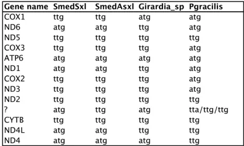 Figure 6 Predicted initiation codons for four triclad mitochondrialgenomes. The three start codons for the P