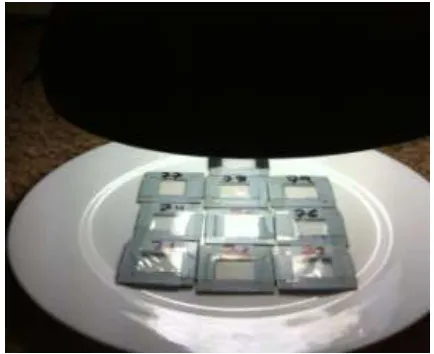 Figure 5 Exposing the dosimeters for the dose response compact fluorescent lamp (15 W, 5000 K) 
