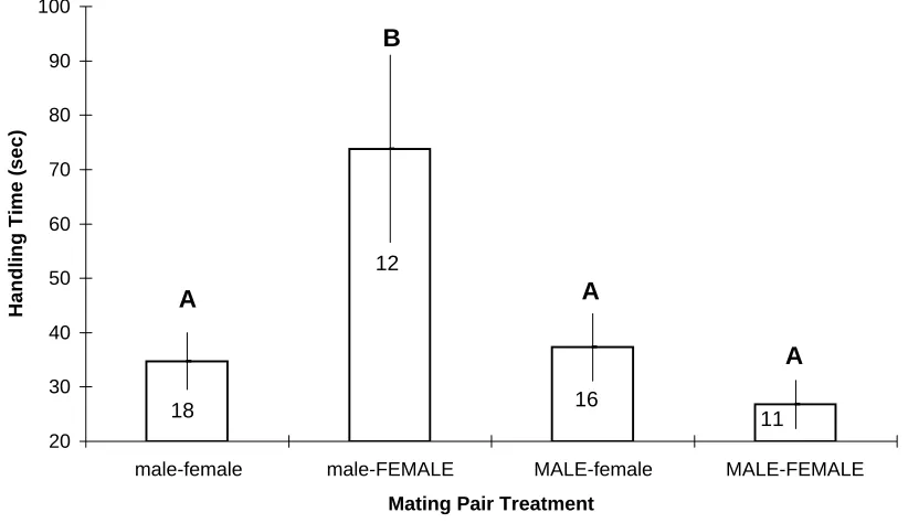 Figure 1:  Mean (+/- SE) handling time for male blue crabs to flip the female from the cradle-carry to the mating position as a function of crab sex by size treatments.Different letters denote treatment means that varied significantly from one another as i