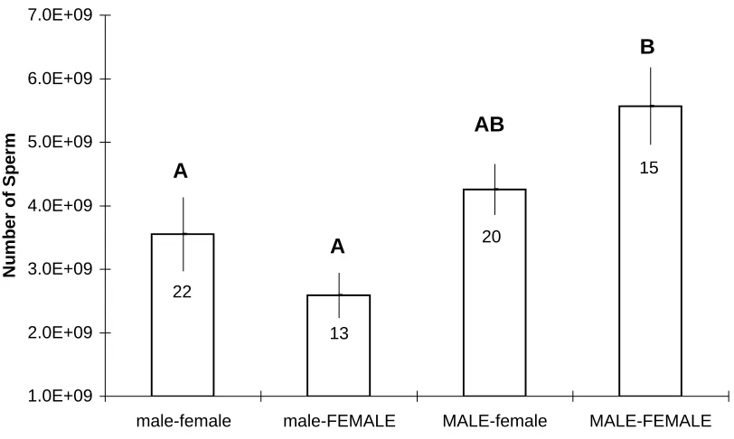 Figure 6:  Mean (+/- SE) number of sperm transferred by the male crab as a function of crab sex by size treatments.Different letters denote treatment means that varied significantly from one another as indentified with a 