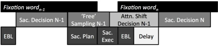 Figure 2: Example dynamics of a decision to saccade from wordattention shift decision can delay the start of perceptual sampling on the next word, potentially creatingspillover