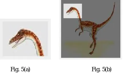 Fig. 5(a)                                           Fig. 5(b) The correlation is calculated between the two images