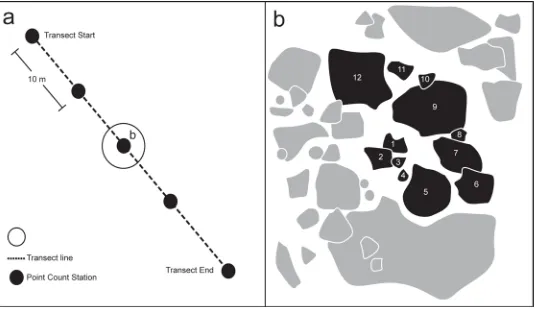 Fig 1. PCT Sampling Scheme. a) overview of transect with count stations, b) one count sample (12 colonies)