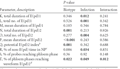 TABLE 4 Statistical analysis of phloem EPG parameters K to T ofviruliferous and uninfected B