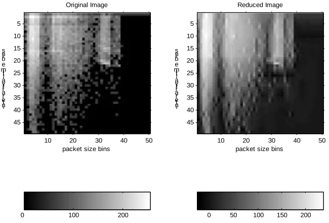 Fig. 4: Plots of images (original and compressed) for packet size vs. inter-arrival time distributions (in50x49 matrices) of DNS