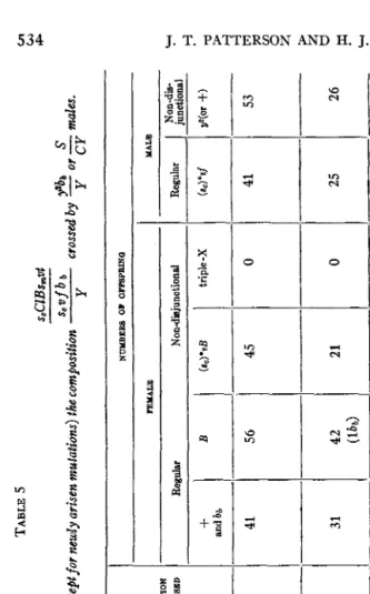 TABLE 5 