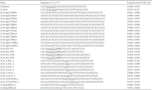 TABLE 1 Primers used in this study