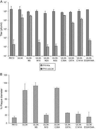 FIG 6 Complementation of PrV-�UL34 by N-terminally truncated and site-speciﬁcally mutated pUL34