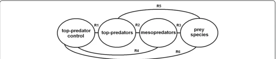 Figure 1 Schematic representation of the six primary relationships of interest (R1–R6) between top-predator control and prey speciesat lower trophic levels (see [42]).