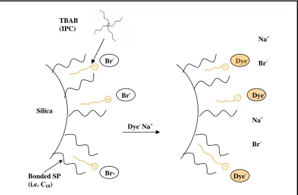 Figure 2.2:  Possible Mechanism Sketch of IPC 