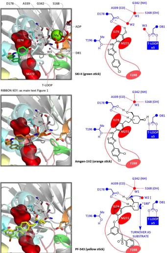 Figure S3. SK inhibitors with crystallographically-defined binding modes and residue interaction maps