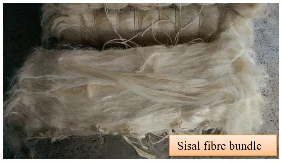 Fig.3. 1 Raw sisal fibres photo  