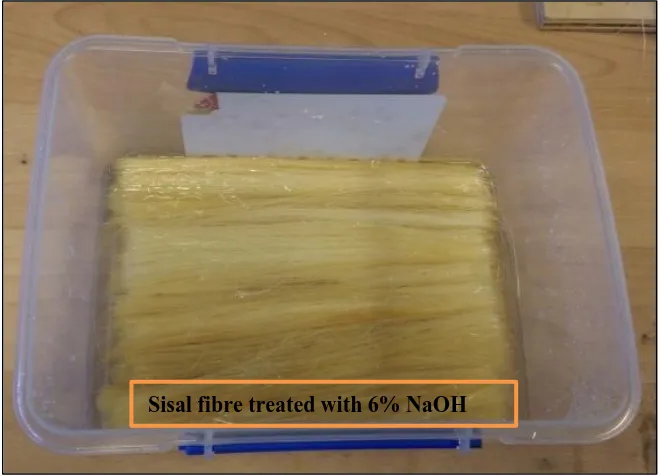 Fig.3. 3 Sisal fibre soaked in 6% NaOH solution 