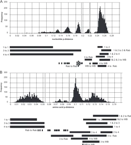 FIG 3 Distribution of nucleotide and amino acidbetween corresponding ORF1/ORF2 concatenated sequences from which the HVR had been removed (B) were calculated