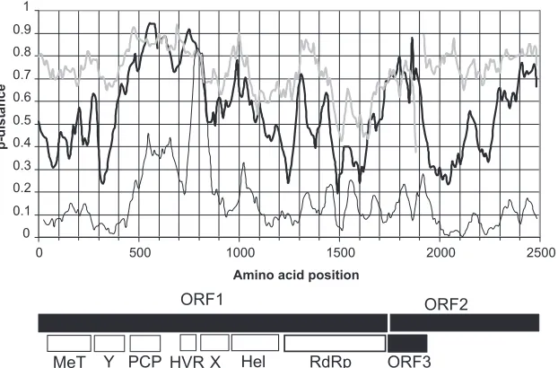 FIG 4 Sliding-window analysis of mean amino acid p-distances between representative divergent HEV sequences