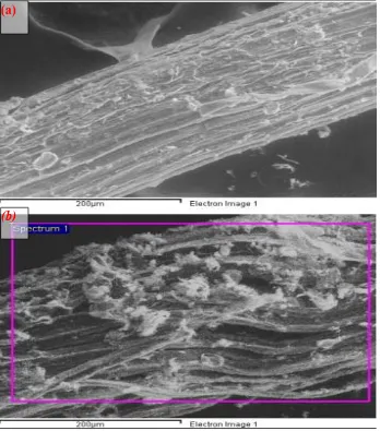 Fig 2. 3: Scanning Electron Microscopy (a) Untreated Sisal Fibre; (b) NaOH Treated Sisal Fibre,(Mohan and Kanny, 2012)