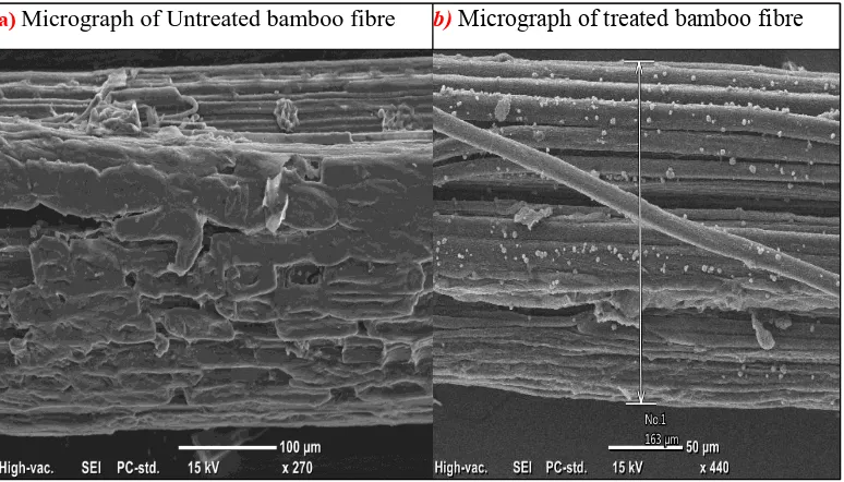 Fig. 3. 2: Scanning Electron Microscopy for Bamboo Fibres 