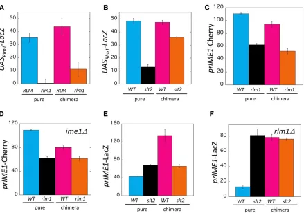 Figure 4 Nonautonomouseither a0.04). (E) CCA measuring effect ofslt2that are eithereither a(WT)(orange, SH5520) signal strain