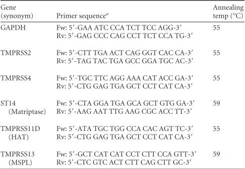 TABLE 1 PCR primers used for TTSP gene expression analysis