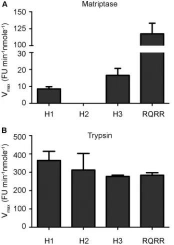 FIG 2 The catalytic domain of matriptase is capable of cleaving inﬂuenza virus