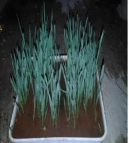 Table.1Initial condition of plant   