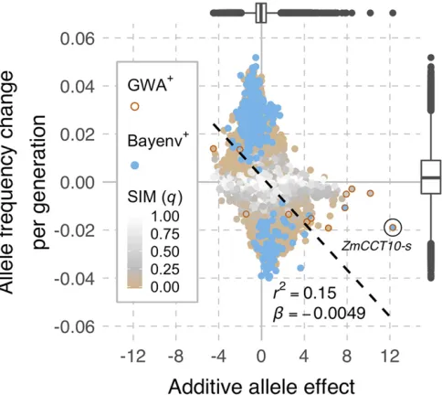 Figure 4 Genome-wide relationship between slopes in allele frequency