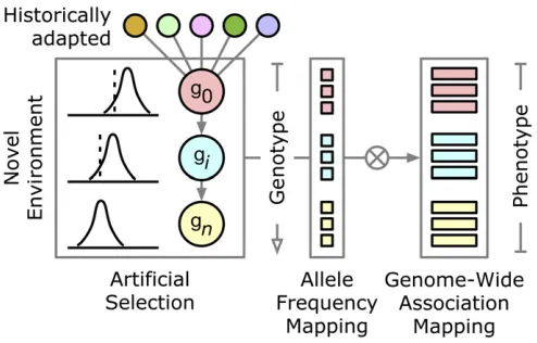 Figure 1 Study design adapted from Wisserwhich the source populations had not previously been exposed