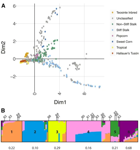 Figure 2 Genetic diversity and population structure in Hallauerassigned to samples based on Table S1 in Romaystructure in’s Tusón.(A) 2D PHATE plot showing relationships for Hallauer’s Tusón and a broadrange of maize germplasm