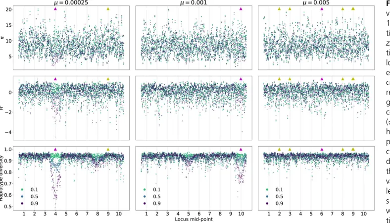 Figure 7 Patterns of genetic