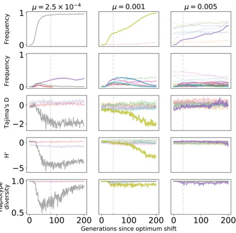 Figure 6 summarizes patterns of variation in the central