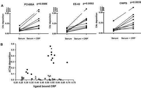 FIGURE 5. ES-62-bound CRP leads to C4 deposition.at concentrations that bound similar amounts of CRP