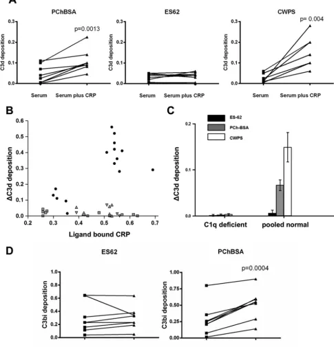 FIGURE 3. ES-62, in contrast to PChBSA and CWPS, does not lead to C3d or C3bi deposition