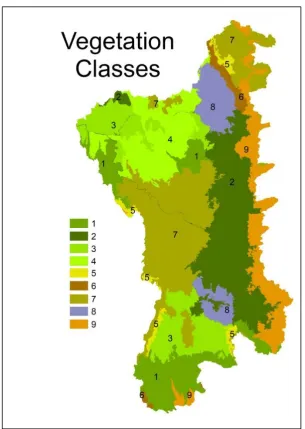 Figure 1.4. Spatial distribution of vegetation classes across the Paranã River Basin [adapted from 60]