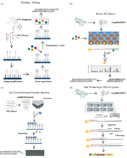 Figure 2.2: Schematic workflow in different NGS platforms 