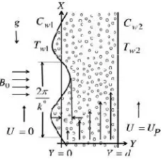 Fig. 1: Flow geometry of the problem.  