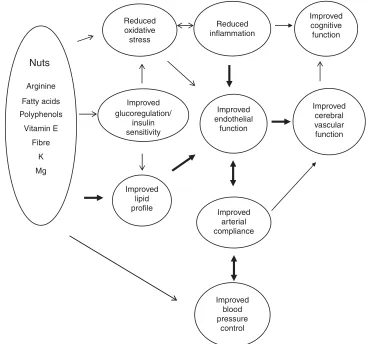 Fig. 1. Summary of potential effects of nutrients in nuts to improve cardiovascular risk factors (lipid proﬁle, arterial compliance, glucoregulation, oxidative stress,blood pressure and inﬂammation) and consequent improvement in endothelial function and po