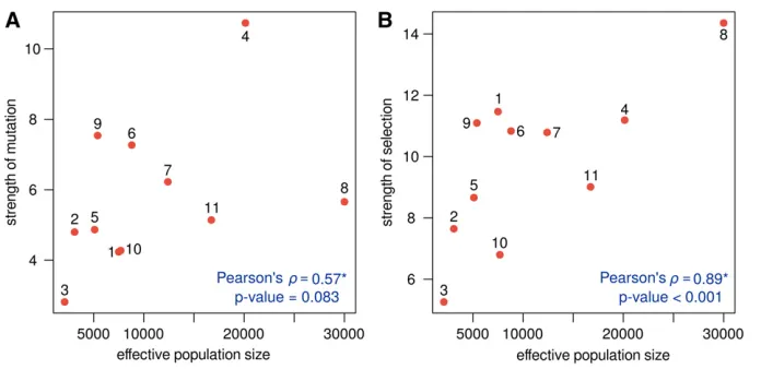 Figure 3 Correlating Ne with the strength of(A) mutation and (B) selection in great apes.