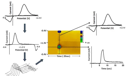 Figure 1.3   Diagram depicting process for constructing color plots used for analysis