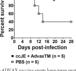 TABLE 4 Postchallenge serum antibody and neutralization titers