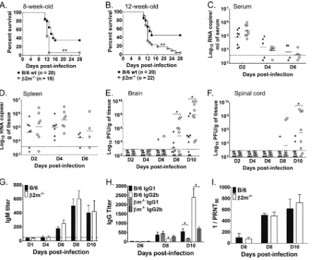 FIG 4 Pathogenesis and humoral immunity in primary JEV infections of�The data shown were constructed from three independent experiments