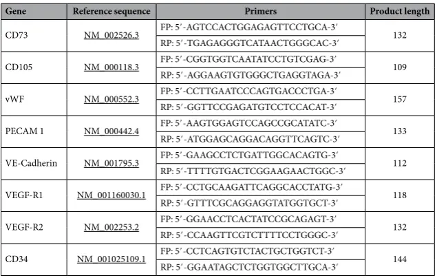 Table 1.  Human primers and their sequences used for the stem cell and endothelial gene expression analysis.
