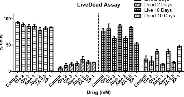 Figure 2. Live/Dead® analysis of pMSCs cultured in BP containing media. At the optimal BP concentrations: CLO 2 μ M, ALN 1 μ M and ZA 0.5 μ M, as suggested by the cell proliferation study (Fig. 1), significantly more live cells (and fewer dead cells) were observed after 10 days of culture.