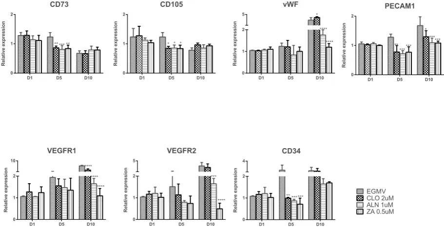 Figure 9. Relative gene expression of stem (CD73 and CD105) and endothelial (von Willebrand Factor, PECAM-1, VEGF-R1, VEGF-R2, and CD34) cell markers in pMSCs after 1, 5 and 10 days differentiation in EGMV alone or with the BPs CLO (2 μM), ALN (1 μM) or ZA