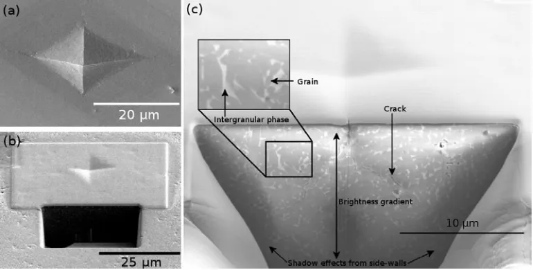 Figure 1. Micrograph of a 2 N indent sectioned using the FIB. The relevant contrast features in the image are indicated ~phases, cracks,charging features, etc.!.