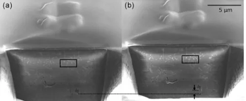 Figure 2. Micrographs of an indent cross-section face ~a! after the1st image and ~b! after the 20th image.212�94 mm ~150�150 DPI!.
