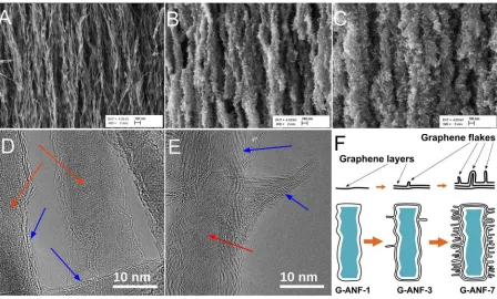 Figure 1. SEM images of G-ANF-1 (A), G-ANF-3 (B), G-ANF-7 (C) (scale bar = 100 nm); 