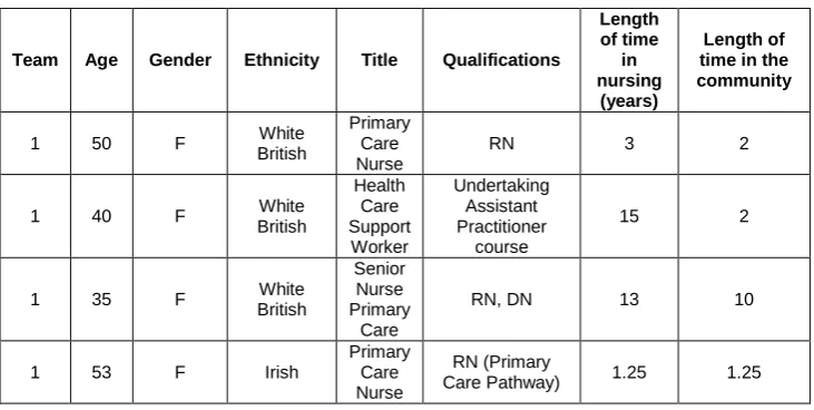 Table 2: Phase 1 – Demographics of nursing staff working with the case study care home 