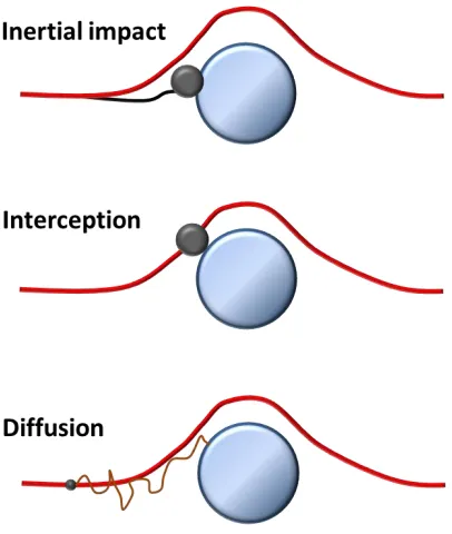 Figure 1.2 Mechanical capture mechanisms [adapted from5] 