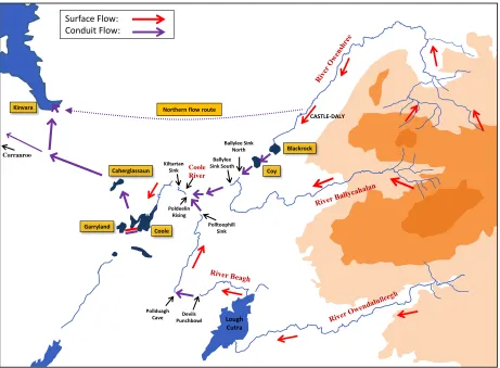 Figure 3.6: Schematic map displaying the distribution of flow within the Gort Lowlands